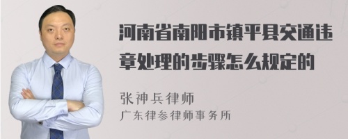 河南省南阳市镇平县交通违章处理的步骤怎么规定的