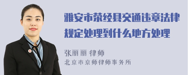 雅安市荥经县交通违章法律规定处理到什么地方处理