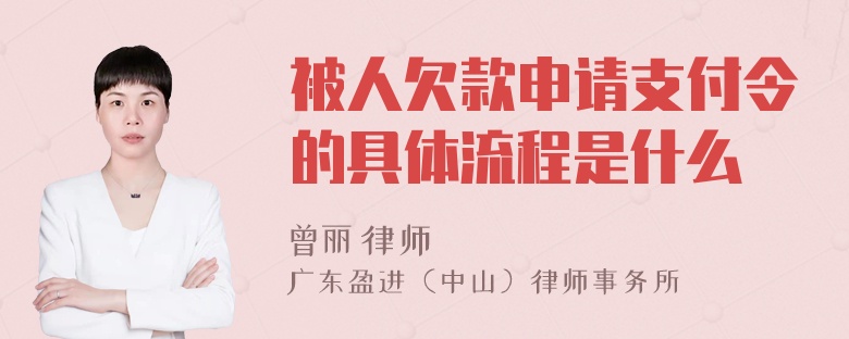 被人欠款申请支付令的具体流程是什么