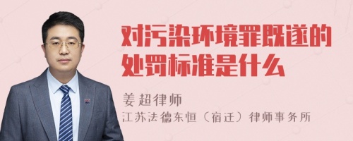 对污染环境罪既遂的处罚标准是什么