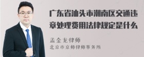 广东省汕头市潮南区交通违章处理费用法律规定是什么