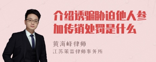 介绍诱骗胁迫他人参加传销处罚是什么