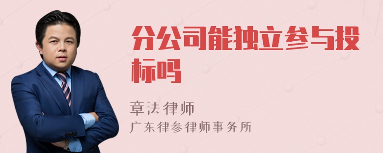 分公司能独立参与投标吗