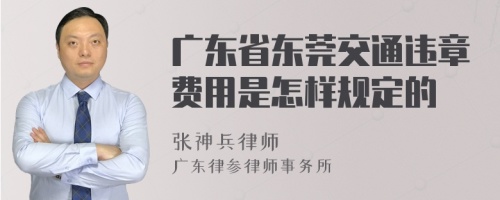 广东省东莞交通违章费用是怎样规定的