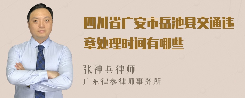 四川省广安市岳池县交通违章处理时间有哪些