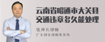 云南省昭通市大关县交通违章多久能处理