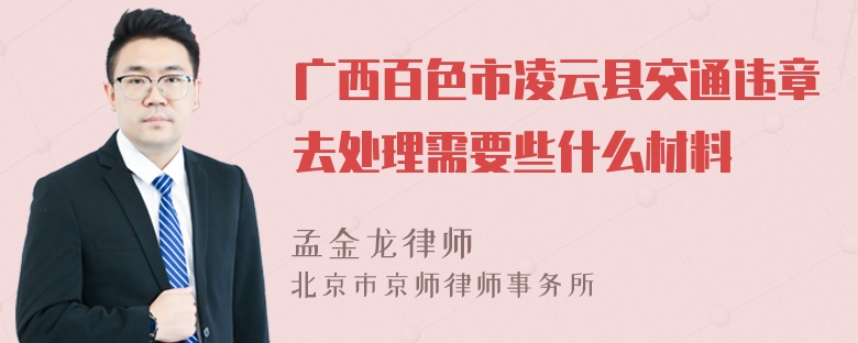 广西百色市凌云县交通违章去处理需要些什么材料