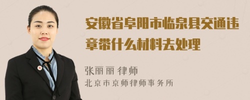 安徽省阜阳市临泉县交通违章带什么材料去处理