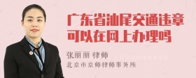 广东省汕尾交通违章可以在网上办理吗