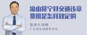 凉山冕宁县交通违章费用是怎样规定的