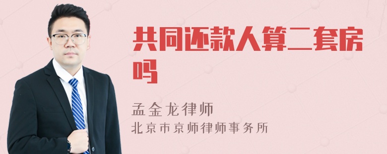 共同还款人算二套房吗