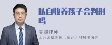 私自收养孩子会判刑吗