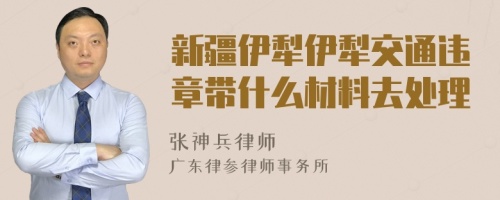 新疆伊犁伊犁交通违章带什么材料去处理