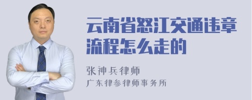 云南省怒江交通违章流程怎么走的