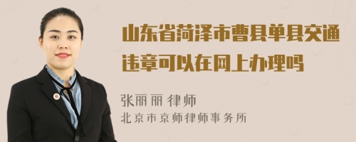 山东省菏泽市曹县单县交通违章可以在网上办理吗