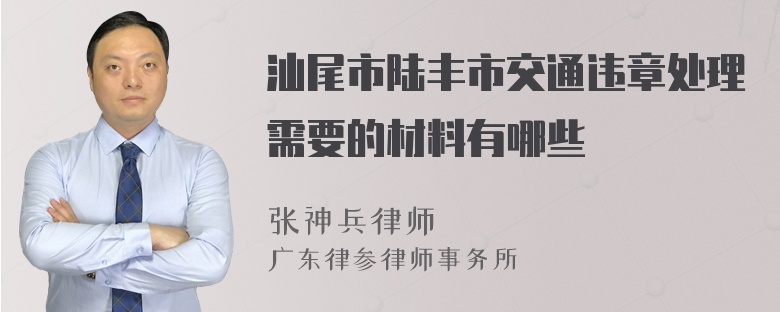 汕尾市陆丰市交通违章处理需要的材料有哪些