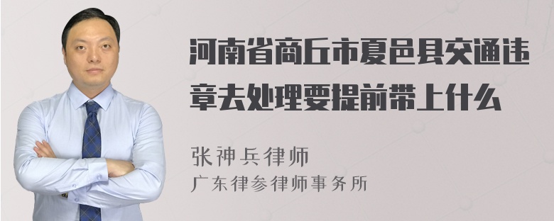 河南省商丘市夏邑县交通违章去处理要提前带上什么