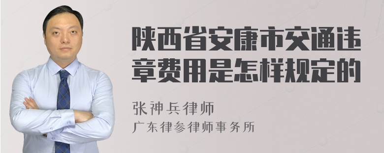 陕西省安康市交通违章费用是怎样规定的