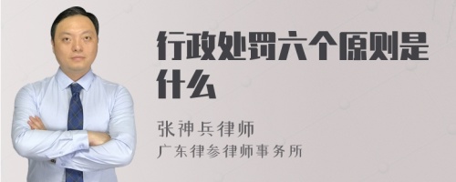 行政处罚六个原则是什么