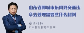 山东省聊城市东阿县交通违章去处理需要些什么材料