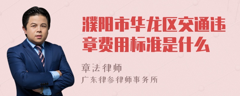 濮阳市华龙区交通违章费用标准是什么