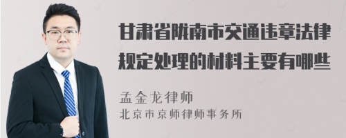 甘肃省陇南市交通违章法律规定处理的材料主要有哪些