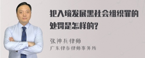 犯入境发展黑社会组织罪的处罚是怎样的?