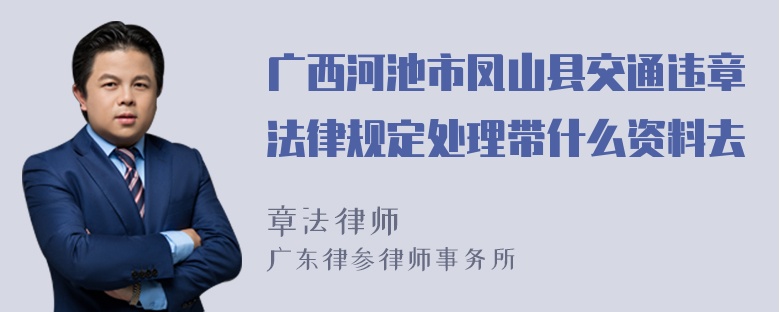 广西河池市凤山县交通违章法律规定处理带什么资料去