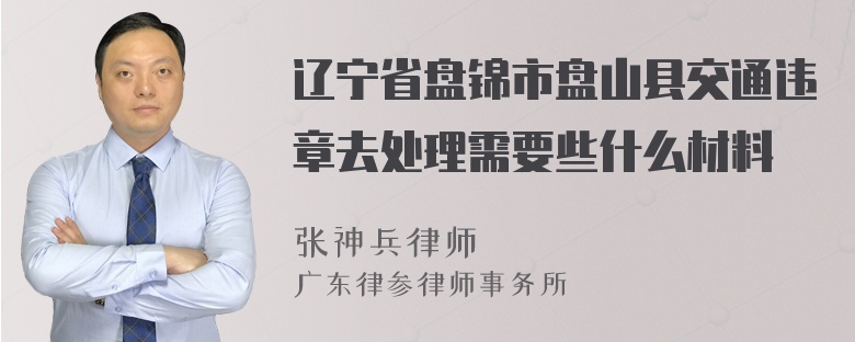 辽宁省盘锦市盘山县交通违章去处理需要些什么材料