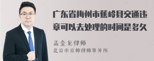 广东省梅州市蕉岭县交通违章可以去处理的时间是多久