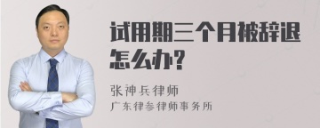 试用期三个月被辞退怎么办?