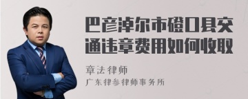 巴彦淖尔市磴口县交通违章费用如何收取