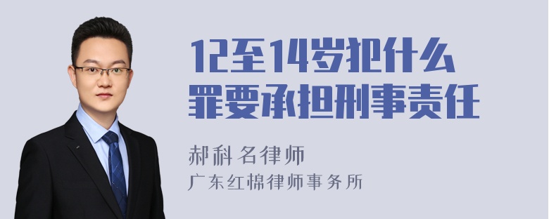 12至14岁犯什么罪要承担刑事责任