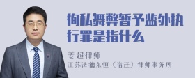 徇私舞弊暂予监外执行罪是指什么