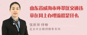 山东省威海市环翠区交通违章在网上办理流程是什么