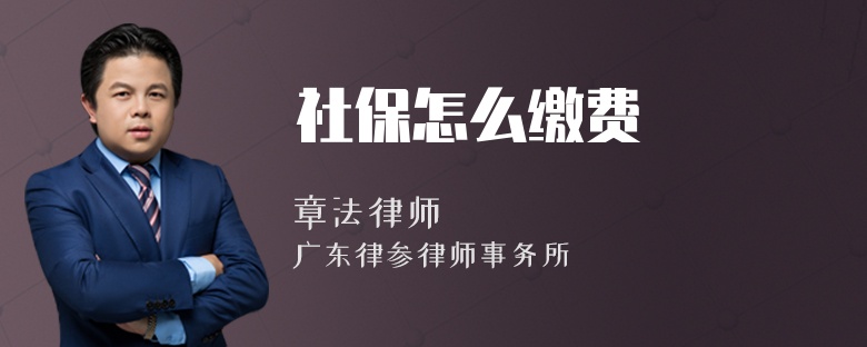 社保怎么缴费