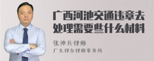 广西河池交通违章去处理需要些什么材料