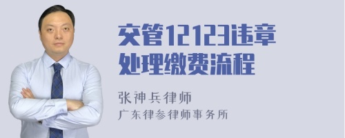 交管12123违章处理缴费流程