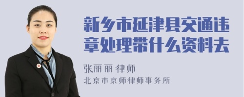 新乡市延津县交通违章处理带什么资料去