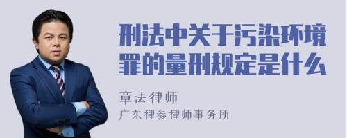 刑法中关于污染环境罪的量刑规定是什么