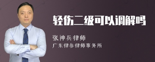 轻伤二级可以调解吗