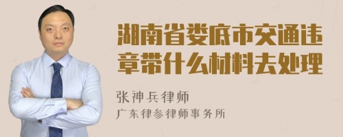 湖南省娄底市交通违章带什么材料去处理