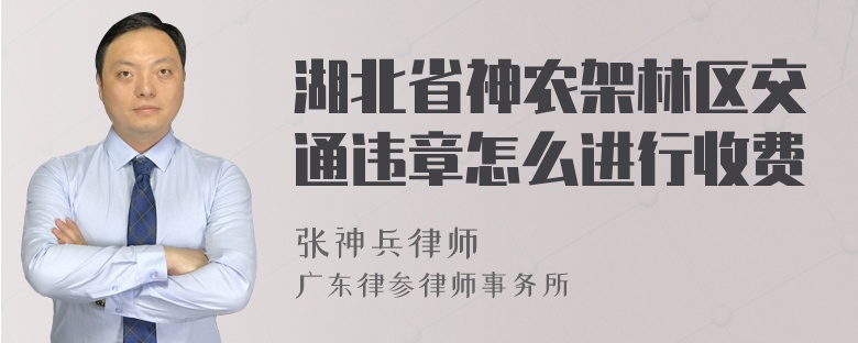 湖北省神农架林区交通违章怎么进行收费