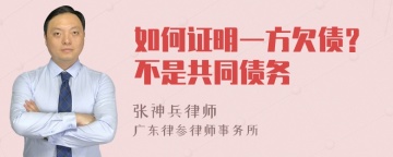 如何证明一方欠债？不是共同债务