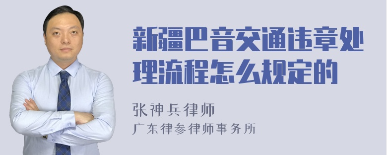 新疆巴音交通违章处理流程怎么规定的