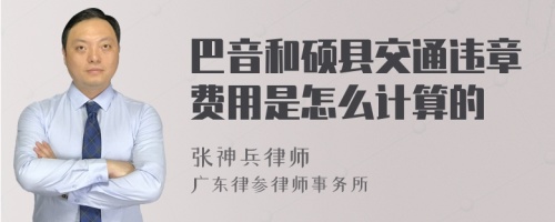 巴音和硕县交通违章费用是怎么计算的