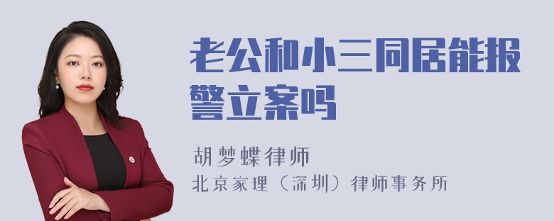 老公和小三同居能报警立案吗