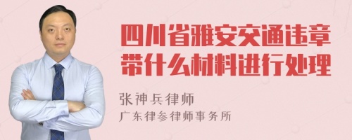 四川省雅安交通违章带什么材料进行处理