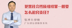 犯黑社会性质组织罪一般要怎么追究责任？