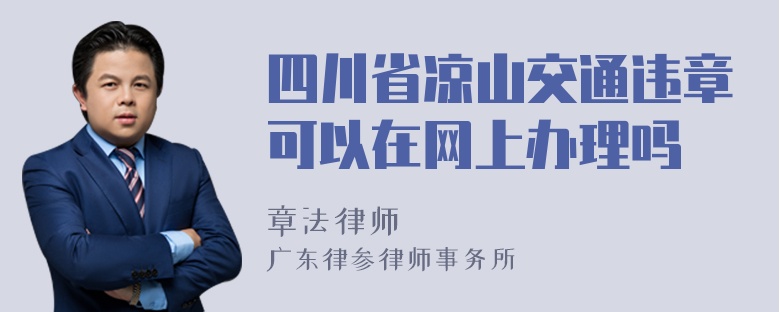 四川省凉山交通违章可以在网上办理吗